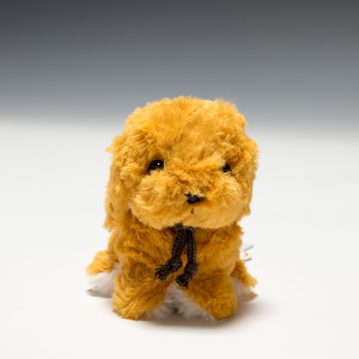 Amazon.co.jp: たけのこ キャンディフォンテーヌ ゴールデンレトリバー